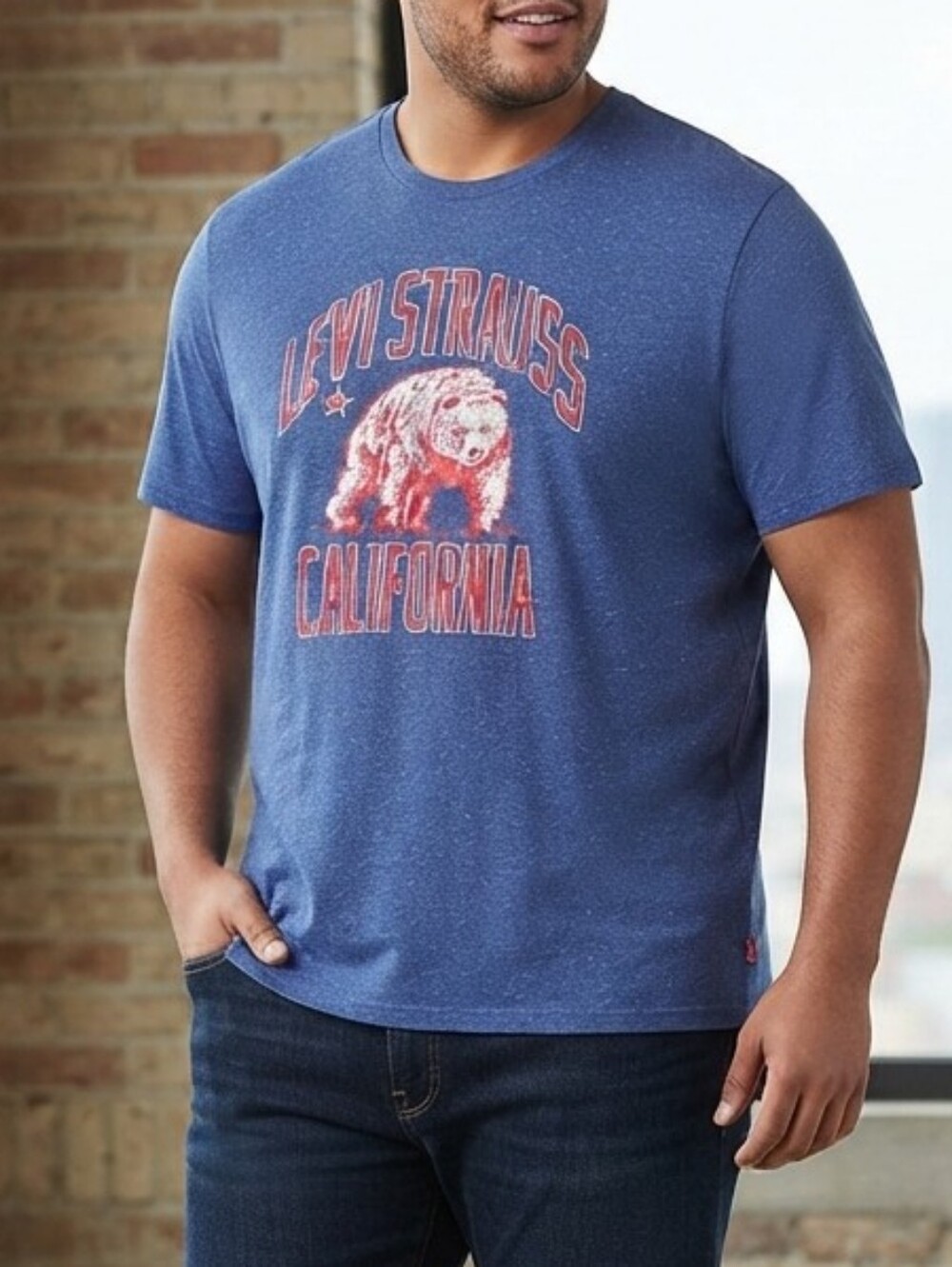 Levi Strauss California Bear Heather Blue Graphic T-Shirt XXL Prep Casual Street